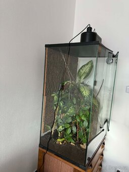 RP terárium 60x45x90 cm - 7