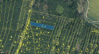 Lesní pozemky 24818 m², spoluvlastnický podíl 5/6, lokalita - 7