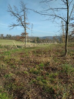 Stavba lesních oplocenek - 7