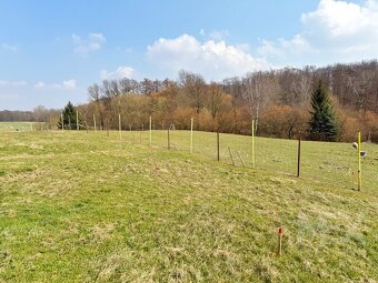 Prodej stavebního pozemku 1 332 m2, Žáravice - 7