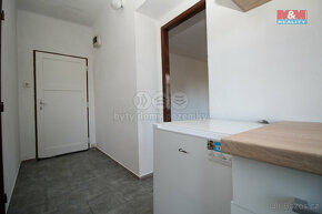 Prodej bytu 1+1, 35 m², Hořesedly - 7