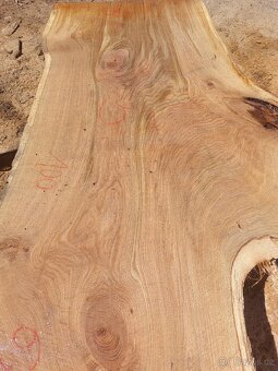 Dubové fošny xl - 7