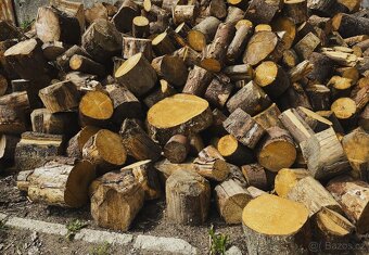 Palivové dřevo,dříví,všechny druhy AKCE SUCHÉ - 7
