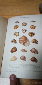 Ottův slovník naučný - 7