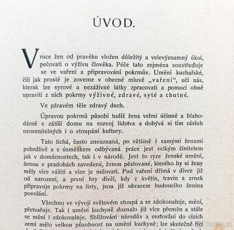 Kuchařská kniha z roku 1914, dobová vazba, zlacený popis - 7