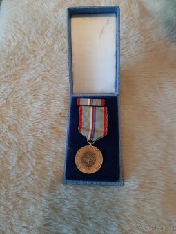 Odznaky, medaile, vyznamenání - 7