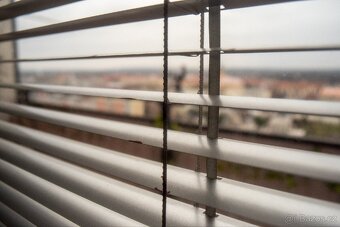 CarlZeissJena Flektogon 4/20 - 7