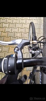 Kolo Giant Queens Park - 7