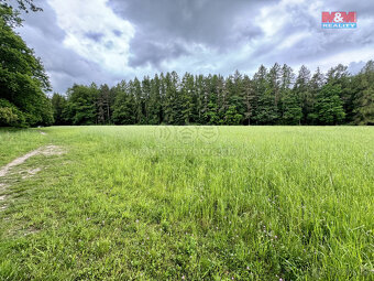 Prodej louky, 19172 m², Svojetice - 7