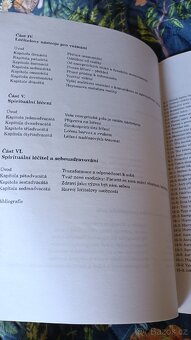 Ruce světla - Barbara Ann Brennan - 7