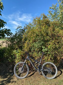 Specialized Stumpjumper - 7