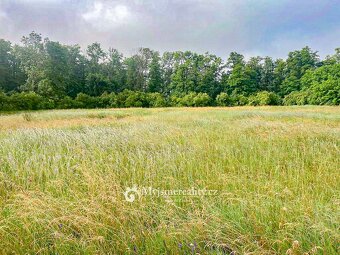 Prodej, Zemědělská půda, 6.905 m2 - Hrabětice, okr. Znojmo - 7