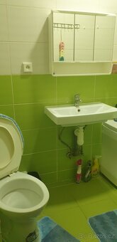 Pronajmu byt se zahradou v chotimer 773879988 - 7