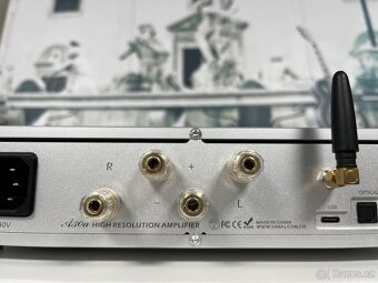 Sabaj A30a - 7