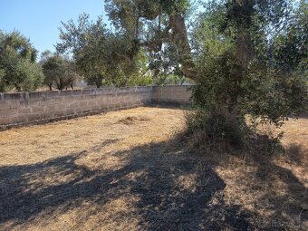Krásný oplocený pozemek 600 m² jen 700 m od pláže Campomarin - 7