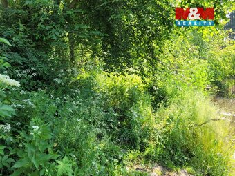 Prodej vodní plochy - rybník, 13.432 m², Luhov u Toužim - 7