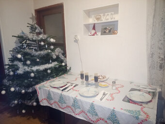 Nabízím k prodeji rodinný dům - 7