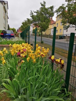 Rodinný dům v Drážďanech 300m2 - 7