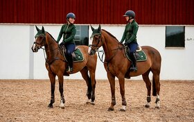 Equestrian Stockholm Forest Green VS a PVS - 7