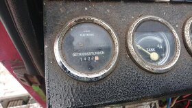 Rolba Hammerle BV206 - 7