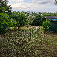 Zahrada / zahrádka v Praze - 7