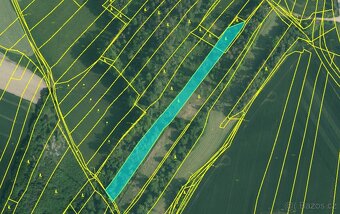Prodej lesních pozemků v k.ú. Kočín - 7
