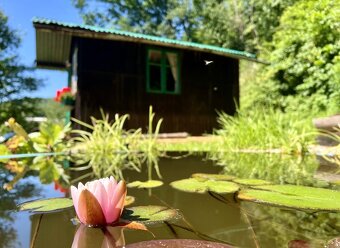 Zahrada Javornik - 7