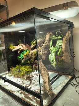 Terárium 60x45x45 - 7