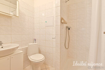 Podnájem bytu 1+kk, Jedovnická, Líšeň, 10.500 Kč/měs, 22 m2 - 7