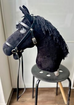 hobby horse - 7