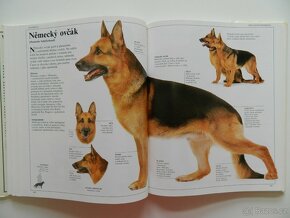 Velká kniha o psech - 7