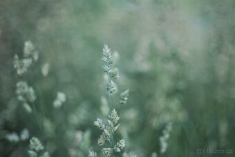 Minolta MC Rokkor-PG 50mm f/1.4 - (Minolta MD) - 7