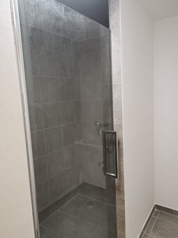 Pronájem bytu 3+KK - 7