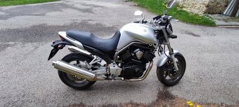 Yamaha Bulldog bt 1100 - 7
