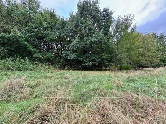 Prodej pozemky - trvalý travní porost, 3 072 m² - Karviná - - 7