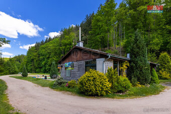 Prodej rekreační objekt,16967 m², Záchlumí,Litice nad Orlicí - 7