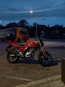 Yuki 125 RS (2007) - 7