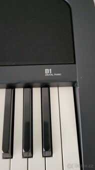 KORG B1 piano - kladívková mechanika - 7