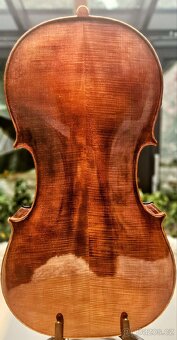 Mistrovské 4/4 Violoncello T. Skála - 7