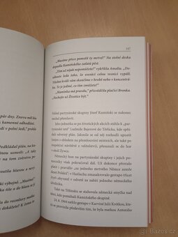 Životice - 7
