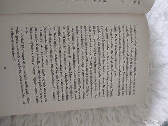 Krámek se starožitnostmi - 7