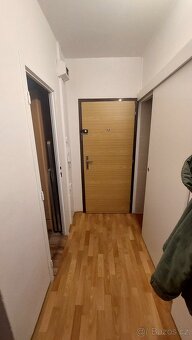 Prodej družstevního bytu 1+1 s balkónem - 7