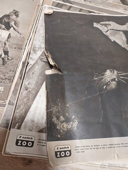 Časopis Svět v obrazech 1958 - 7