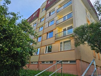 Prodej prostorného bytu 3+1 69 m², Žamberk - 7