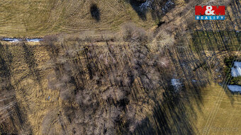 Prodej louky, 4178 m², Dětřichov - 7