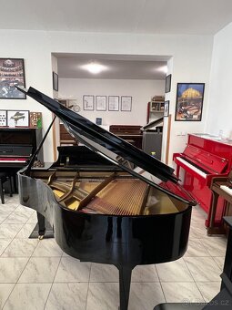 Klavír Essex- Steinway & Sons se zárukou 5 let, PRODÁNO - 7