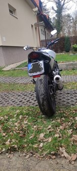 Honda Hornet CB600F - 7