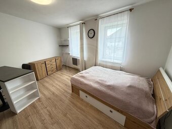 PRONÁJEM BYTU 1+KK, NÁMĚSTÍ ŠIMONA LOMNICKÉHO, ŠEVĚTÍN - 7