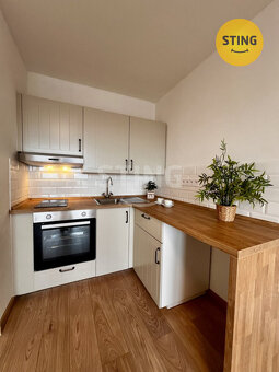 Pronájem zrekonstruovaného bytu 1+kk, ul. Francouzsk, 134087 - 7