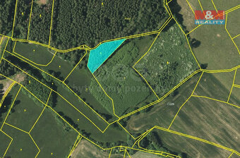 Prodej lesa, 1468 m², Miletice u Dlažova - 7
